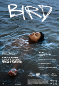 Plakat filmu "Bird"