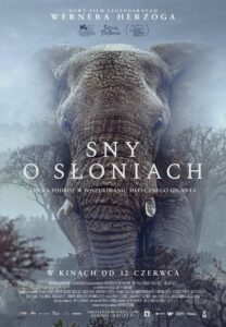 Plakat filmu "Sny o słoniach"